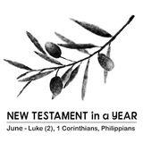 New Testament in a Year: June