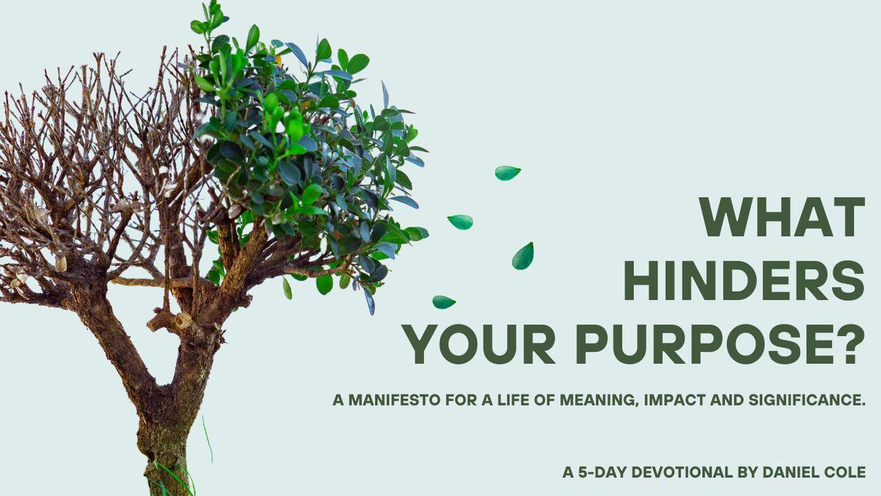 What Hinders Your Purpose?