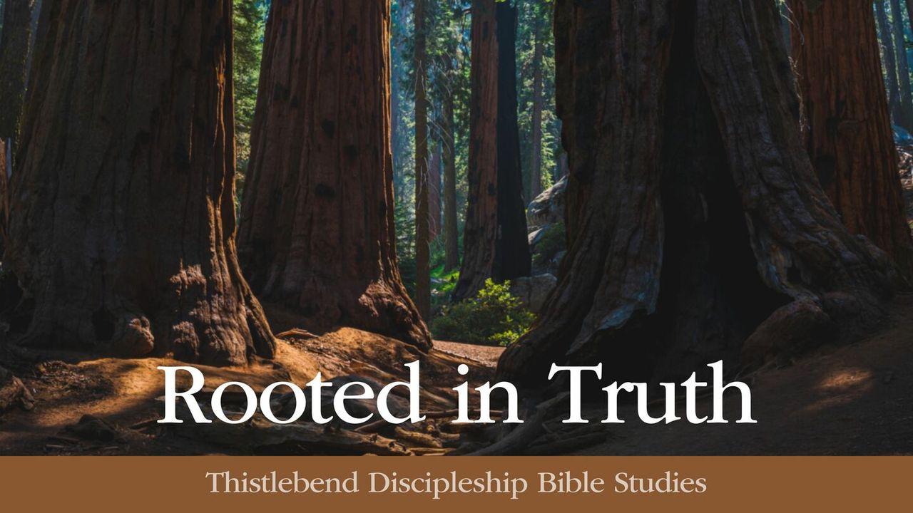 Rooted in Truth: A Devotion in the Ten Commandments