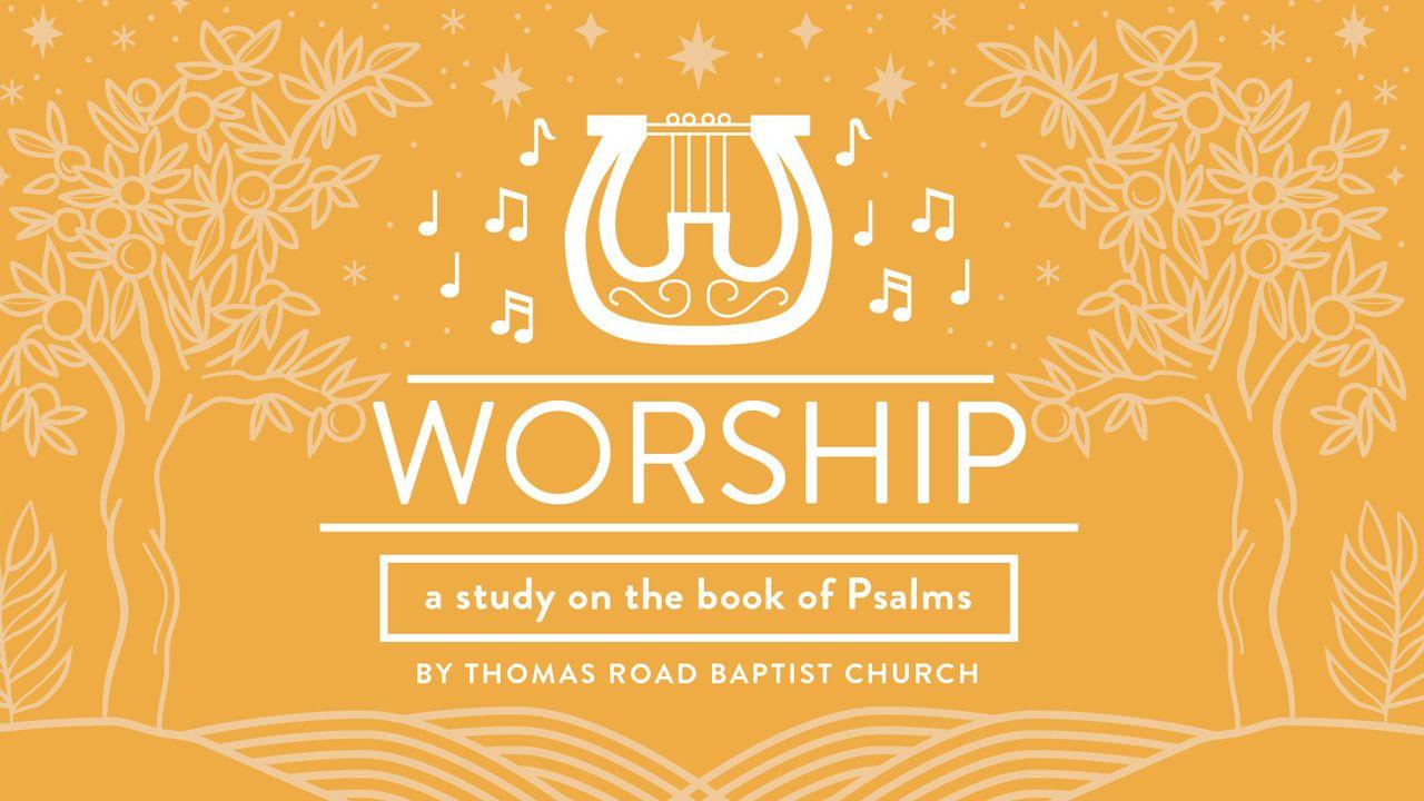 Adoração: um estudo em Salmos