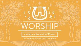 La adoración: Estudio de los Salmos