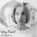 Why Pain?