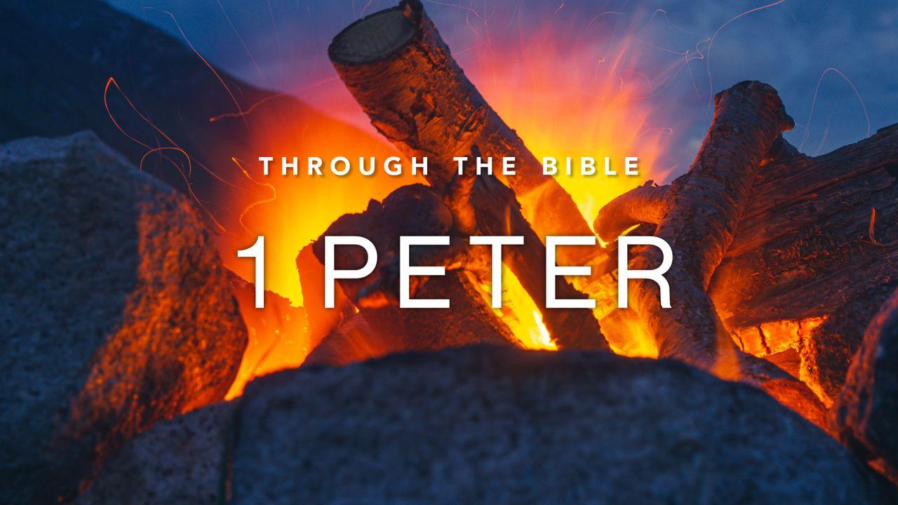 Through the Bible: 1 Peter