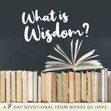 What Is Wisdom?