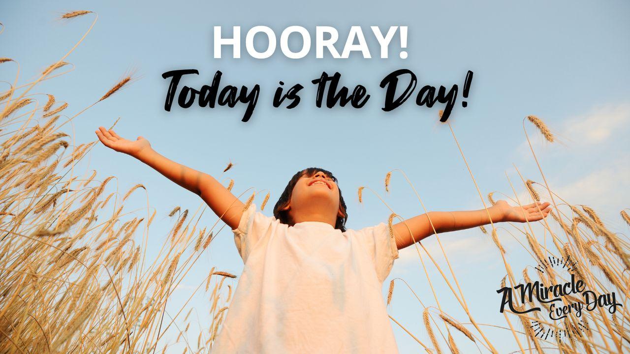 Hooray! Today Is the Day!