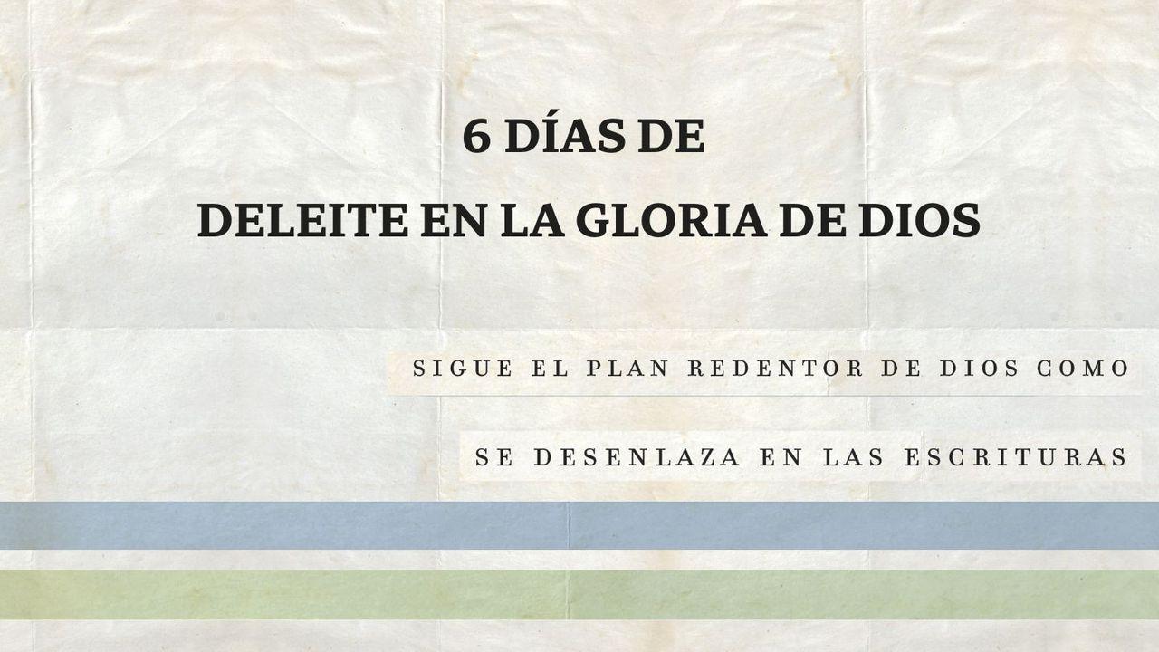 Seis Días De Deleite en La Gloria De Dios Basado en «La Gloria De Dios», Nvi Biblia De Estudio, Teología Bíblica.