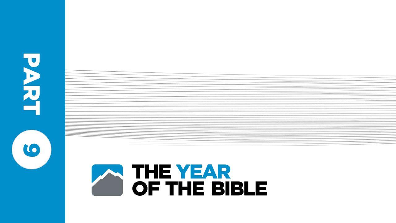 Year of the Bible: Part Nine of Twelve