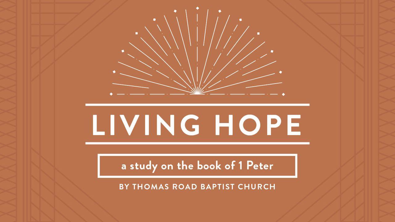 Living Hope: A Study in 1 Peter