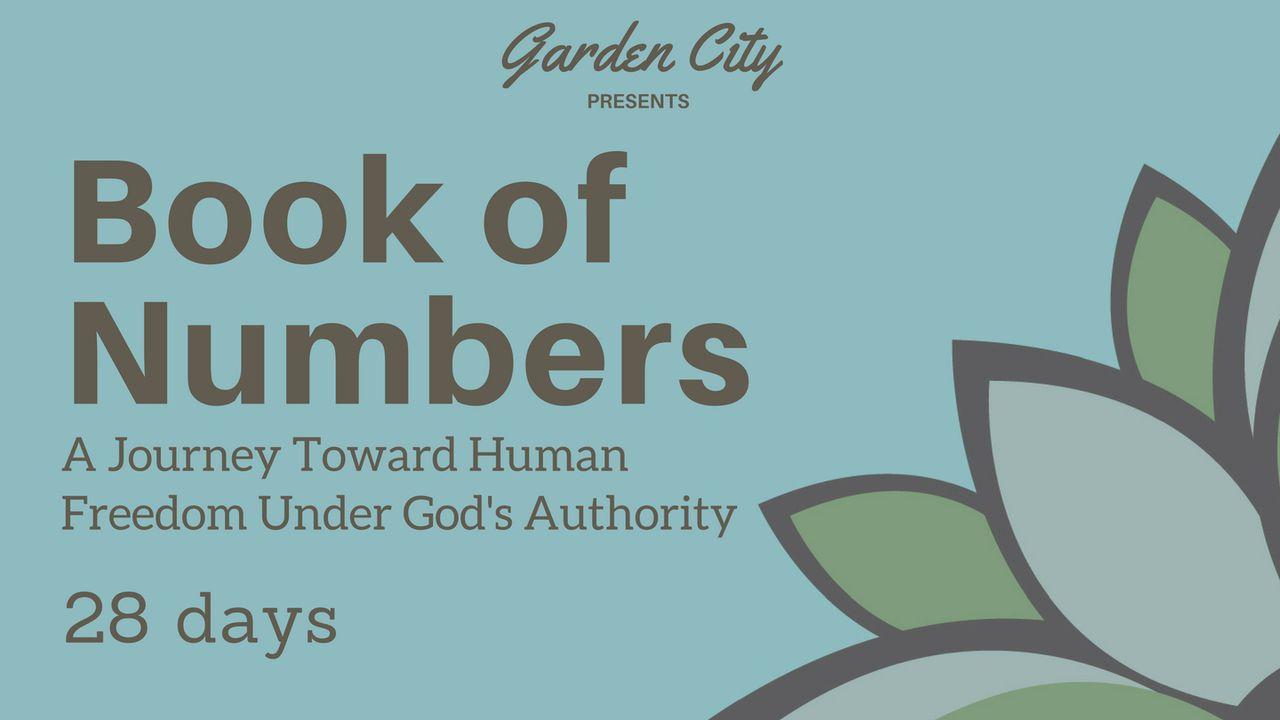 The Book Of Numbers | A Journey Toward Human Freedom Under God's Authority