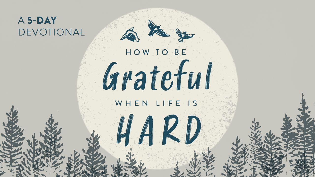 How to Be Grateful When Life Is Hard