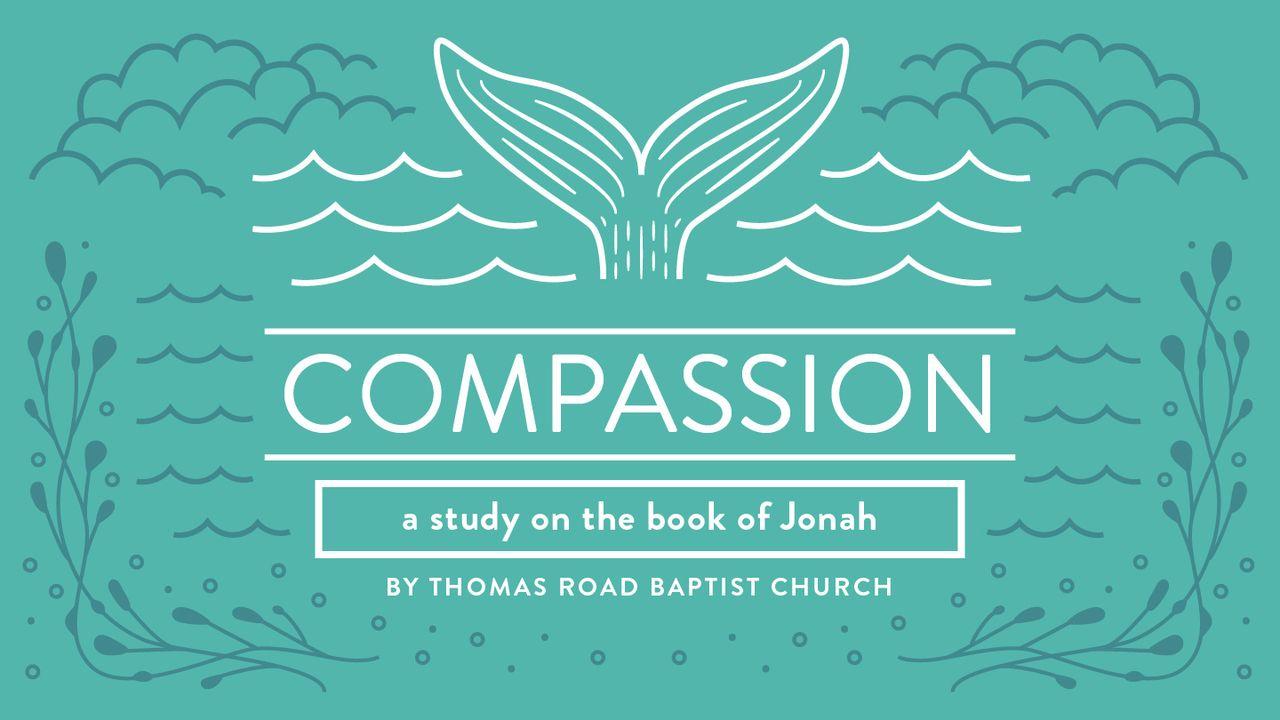 Compassion: A Study in Jonah
