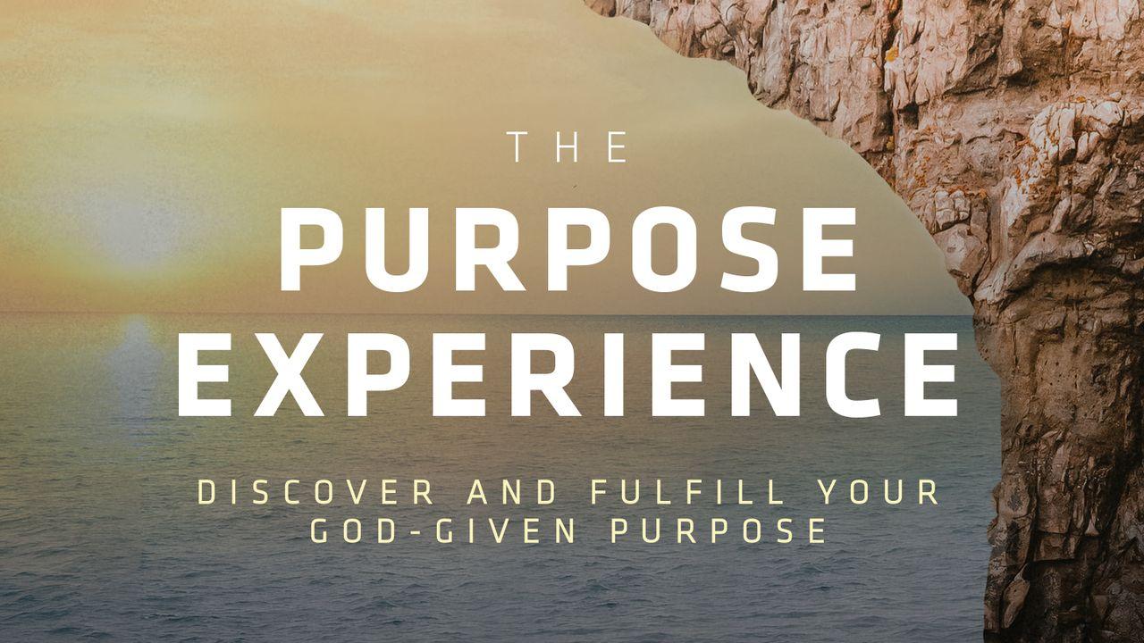 The Purpose Experience