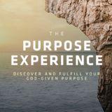 The Purpose Experience