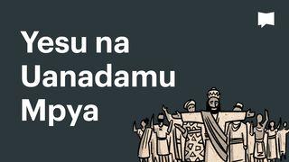BibleProject | Yesu na Uanadamu Mpya