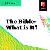 The Bible. What Is It? 