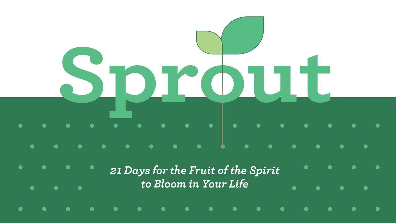 Sprout: 21 Days for the Fruit of the Spirit to Bloom in Your Life