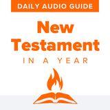 New Testament in a Year | Daily Audio Guide