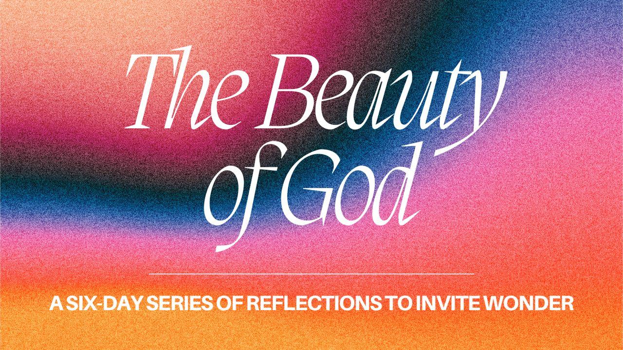 The Beauty of God: A Six-Day Series of Reflections to Invite Wonder