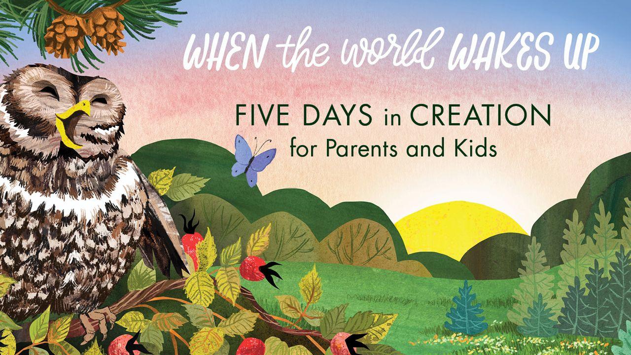 Five Days in Creation for Parents and Kids
