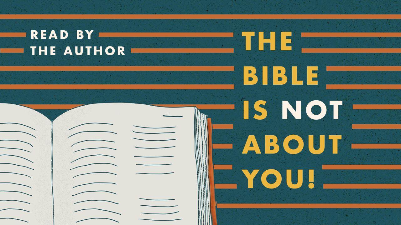 The Bible Is Not About You!