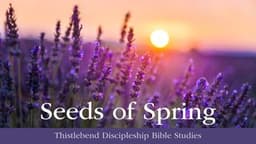 Seeds of Spring
