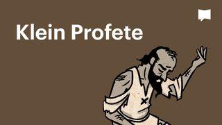 BibleProject | Klein Profete