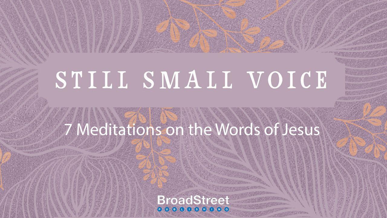 Still Small Voice: 7-Day Meditations on the Words of Jesus