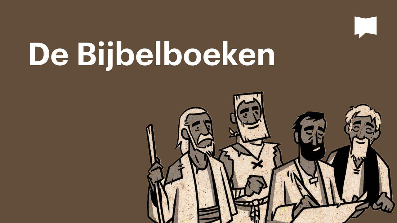 BibleProject | De Bijbelboeken