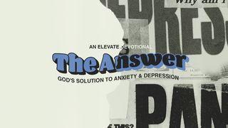 The Answer (God's Solution to Anxiety & Depression)