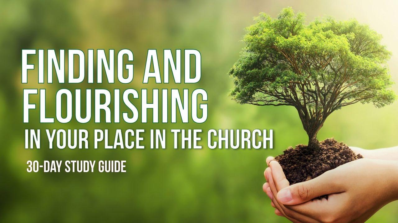 Finding and Flourishing in Your Place in the Church