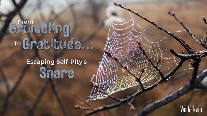 From Grumbling to Gratitude...Escaping Self-Pity's Snare