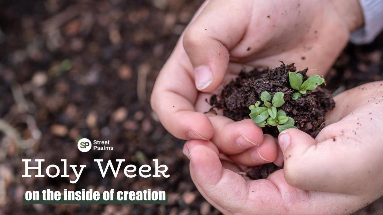 Holy Week - on the Inside of Creation