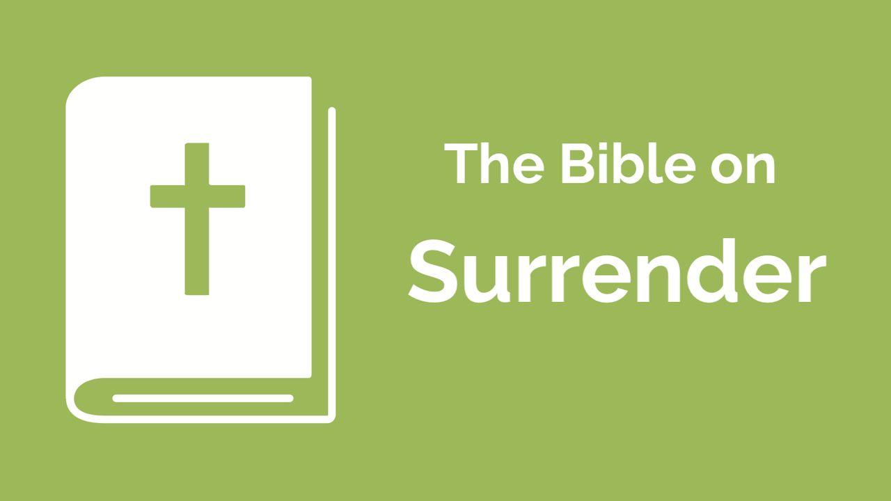 Financial Discipleship - the Bible on Surrender