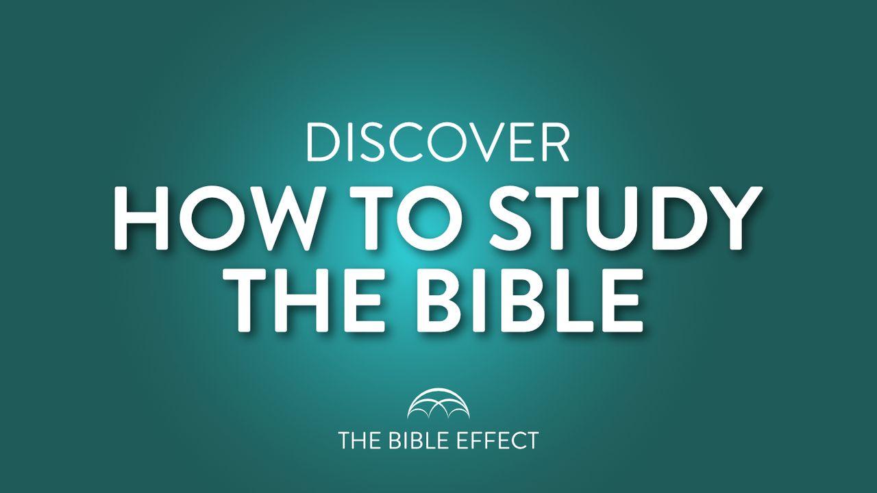 How to Study the Bible Inductively