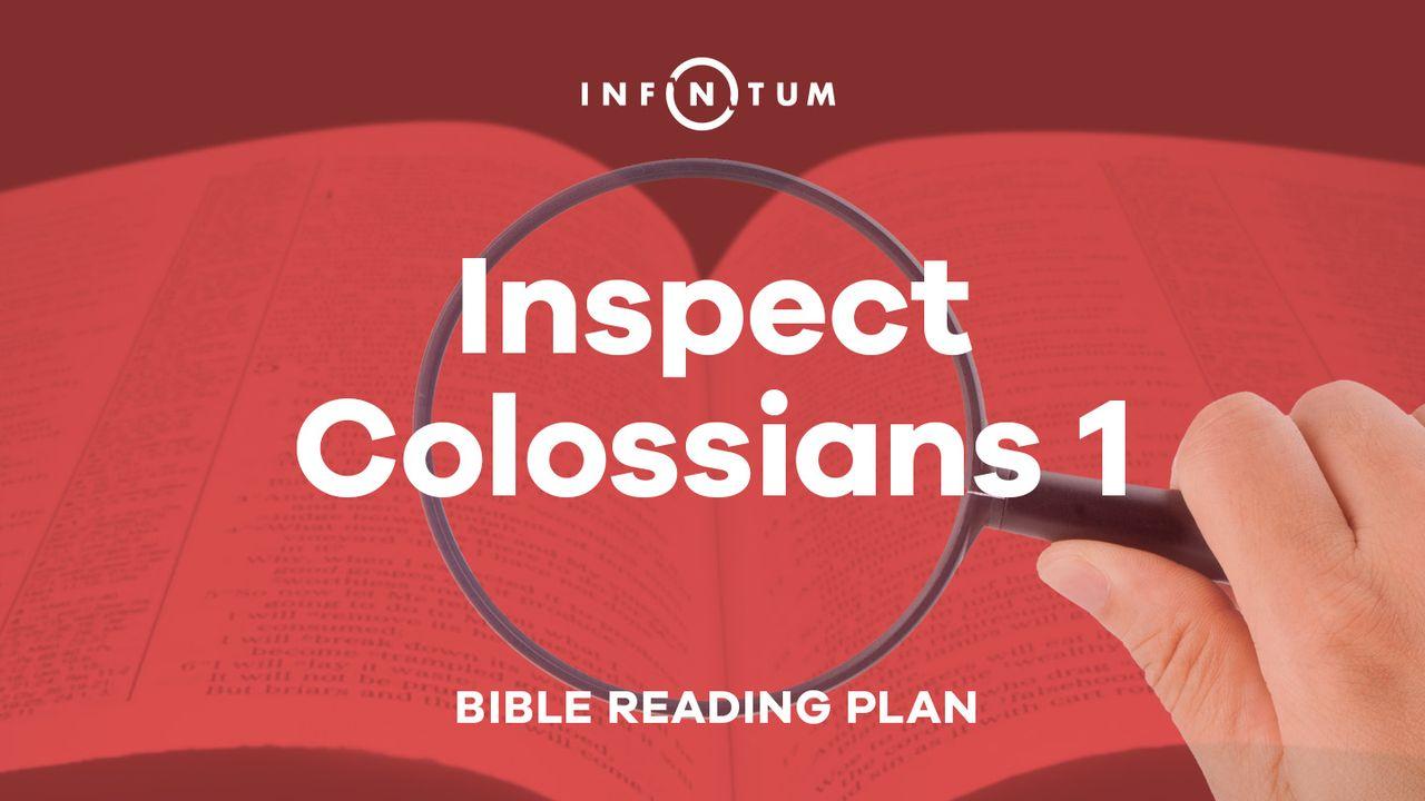 Infinitum: Inspect Colossians 1