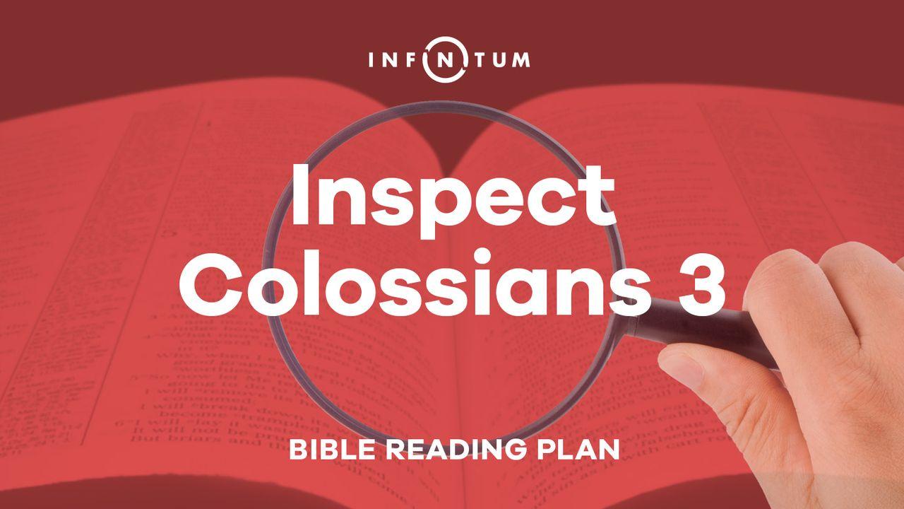 Infinitum: Inspect Colossians 3