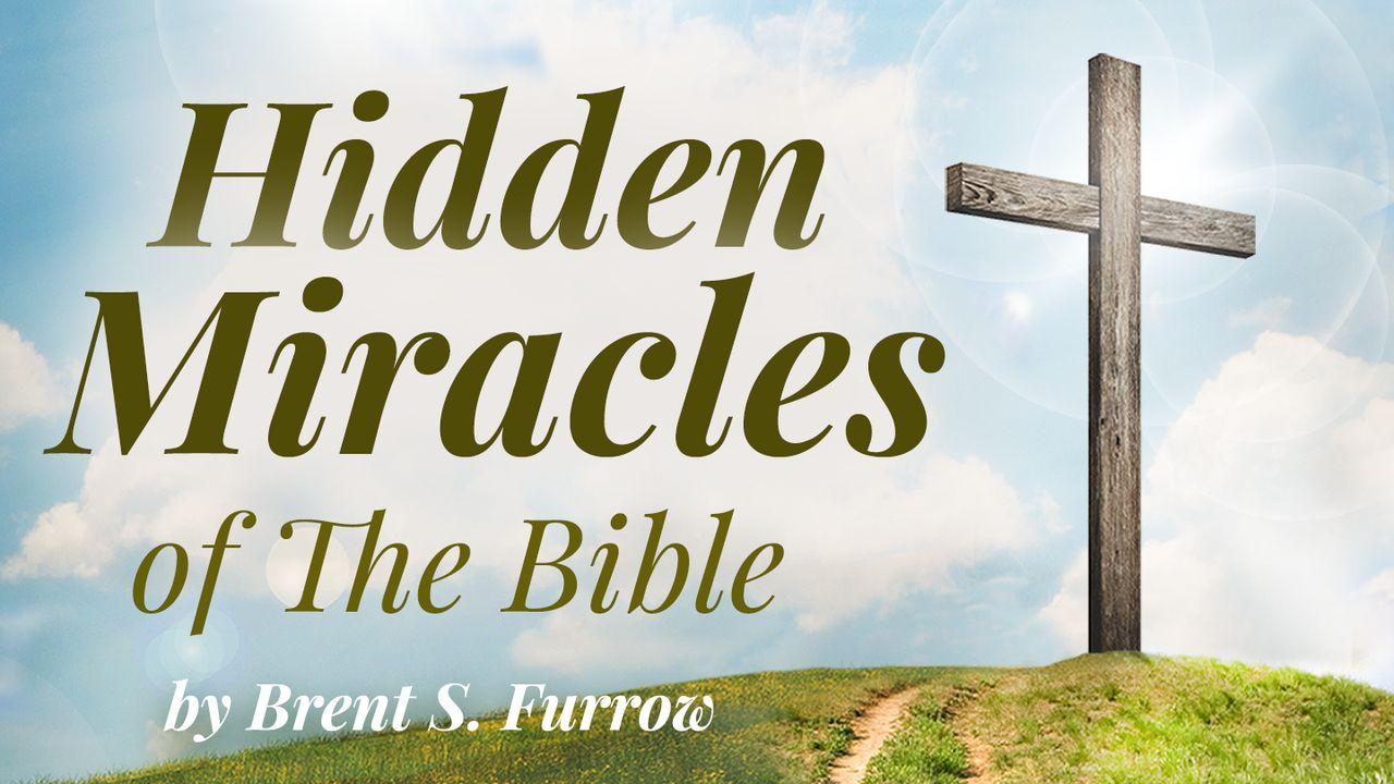 Hidden Miracles of the Bible: Secret Wisdom Within the Word