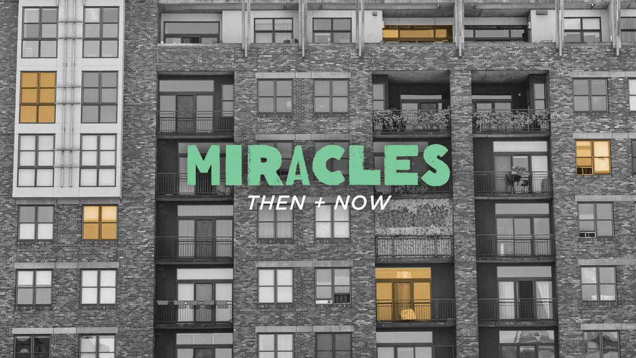 40 Days of Miracles