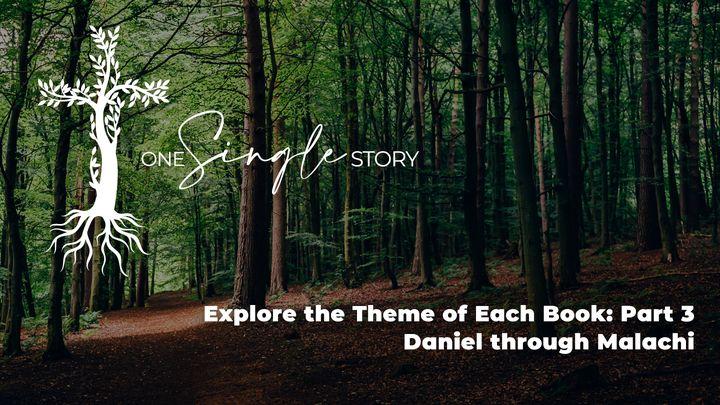 One Single Story Bible Themes Part 3