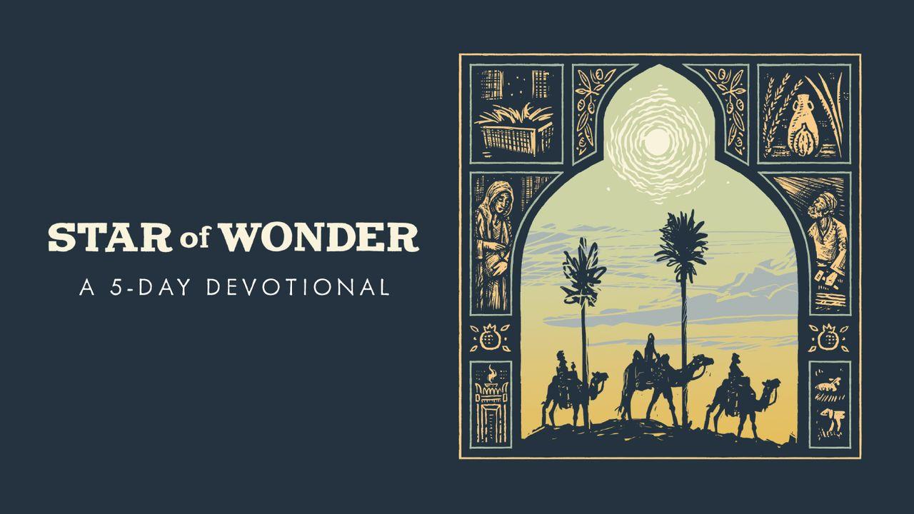 Star of Wonder: 5-Days of Advent to Illuminate the People, Places, and Purpose of the First Christmas