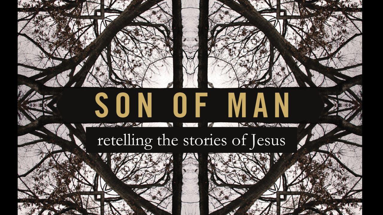 Son of Man: Retelling the Stories of Jesus by Charles Martin