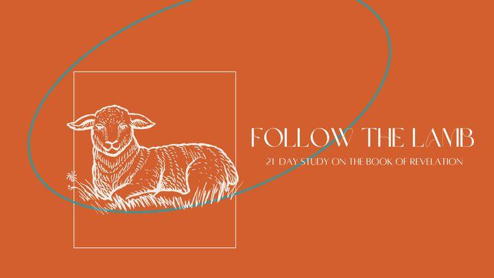 Follow the Lamb - 21 Day Study on the Book of Revelation