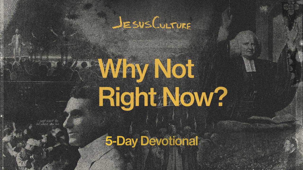 Why Not Right Now?: A 5-Day Devotional by Jesus Culture