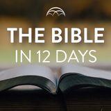 The Bible in 12 Days : Discover God’s Story of Redemption