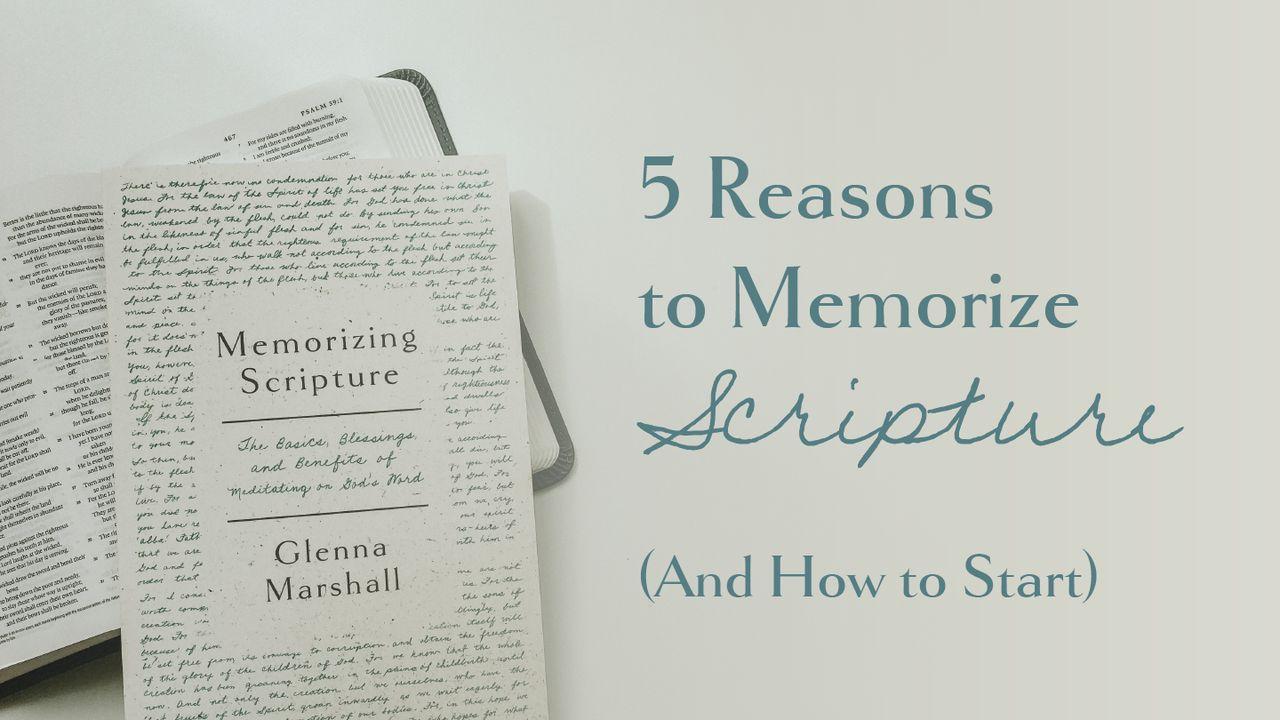 5 Reasons to Memorize Scripture (And How to Start)