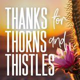 Thanks for Thorns and Thistles