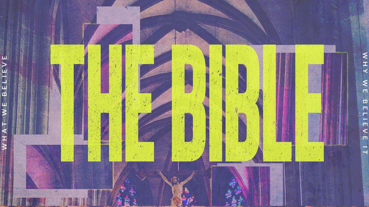 I Believe: The Bible