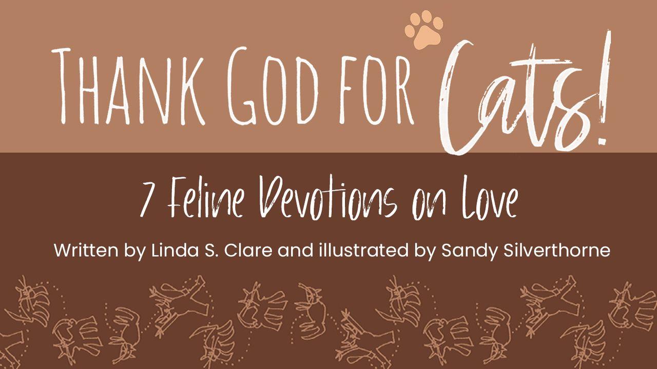 Thank God for Cats!: 7 Feline Devotions on Love