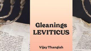 GLEANINGS - Leviticus