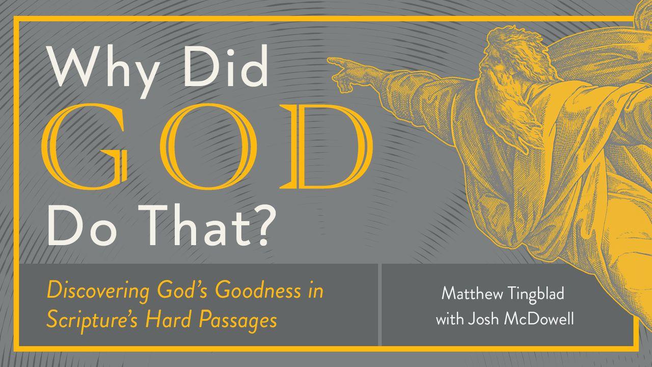Why Did God Do That? Discovering God’s Goodness in the Hard Passages of Scripture